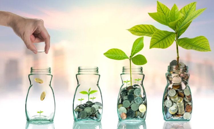 Política anual de investimento 2017