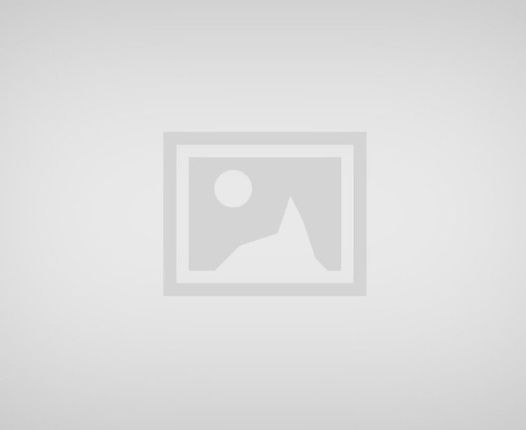 PARECER TECNICO CONCLUSIVO UCI CONTAS GESTÃO 2025